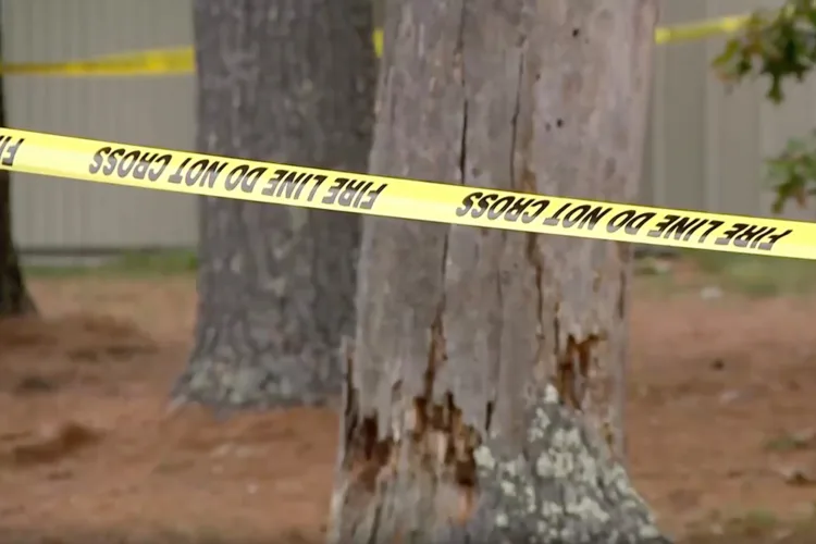 Grandmother, daughters and grandson among plane crash victims